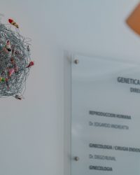 BRICK FOTOGRAFIA