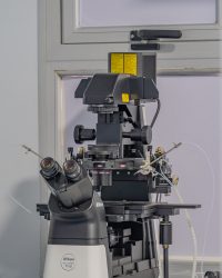 BRICK FOTOGRAFIA